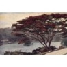 Rare collectable postcards of Sri Lanka (Ceylon). Vintage Postcards of Sri Lanka (Ceylon)