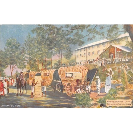 Rare collectable postcards of Sri Lanka (Ceylon). Vintage Postcards of Sri Lanka (Ceylon)