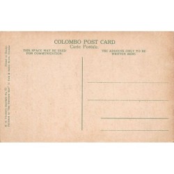 Rare collectable postcards of Sri Lanka (Ceylon). Vintage Postcards of Sri Lanka (Ceylon)