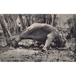Rare collectable postcards of Sri Lanka (Ceylon). Vintage Postcards of Sri Lanka (Ceylon)
