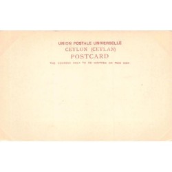 Rare collectable postcards of Sri Lanka (Ceylon). Vintage Postcards of Sri Lanka (Ceylon)
