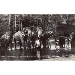 Rare collectable postcards of Sri Lanka (Ceylon). Vintage Postcards of Sri Lanka (Ceylon)
