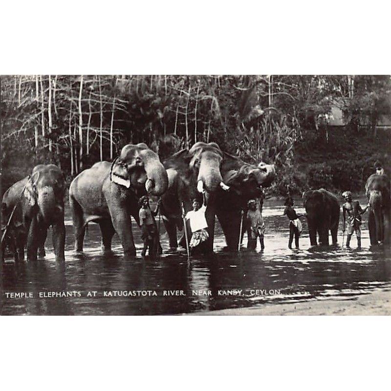 Rare collectable postcards of Sri Lanka (Ceylon). Vintage Postcards of Sri Lanka (Ceylon)