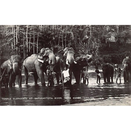 Rare collectable postcards of Sri Lanka (Ceylon). Vintage Postcards of Sri Lanka (Ceylon)