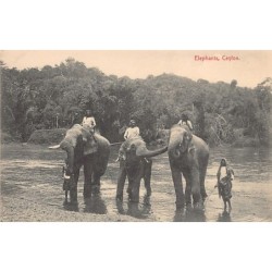 Rare collectable postcards of Sri Lanka (Ceylon). Vintage Postcards of Sri Lanka (Ceylon)