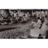Rare collectable postcards of Sri Lanka (Ceylon). Vintage Postcards of Sri Lanka (Ceylon)