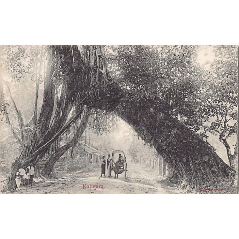 Rare collectable postcards of Sri Lanka (Ceylon). Vintage Postcards of Sri Lanka (Ceylon)