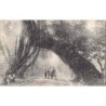 Rare collectable postcards of Sri Lanka (Ceylon). Vintage Postcards of Sri Lanka (Ceylon)
