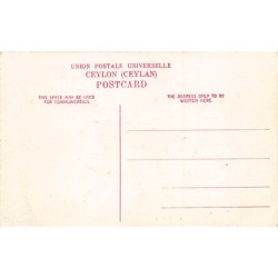 Rare collectable postcards of Sri Lanka (Ceylon). Vintage Postcards of Sri Lanka (Ceylon)