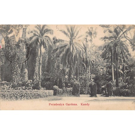 Rare collectable postcards of Sri Lanka (Ceylon). Vintage Postcards of Sri Lanka (Ceylon)