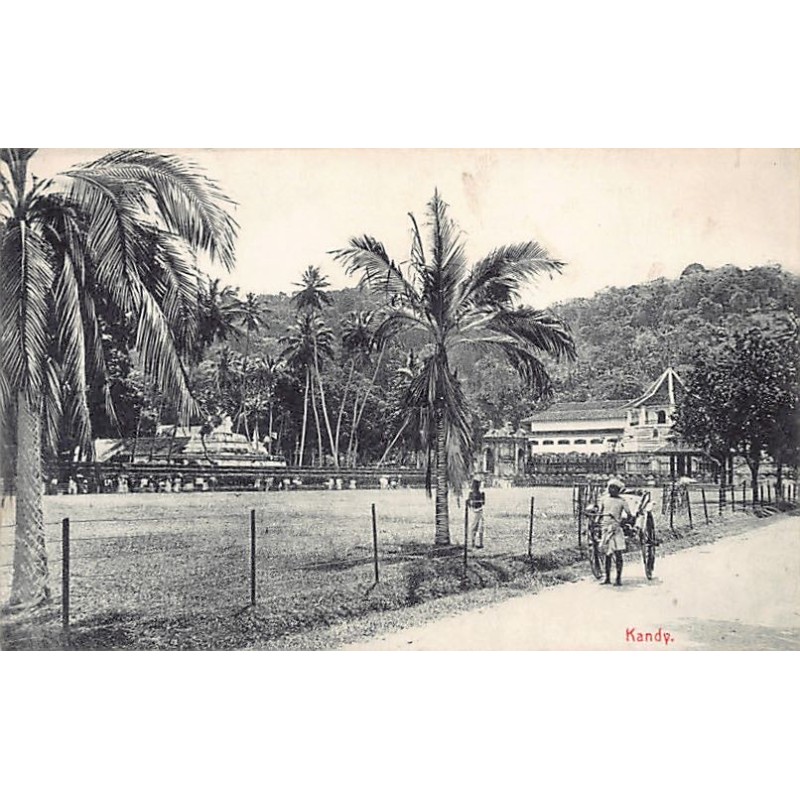 Rare collectable postcards of Sri Lanka (Ceylon). Vintage Postcards of Sri Lanka (Ceylon)