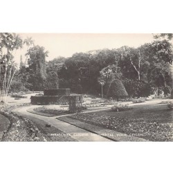 Rare collectable postcards of Sri Lanka (Ceylon). Vintage Postcards of Sri Lanka (Ceylon)