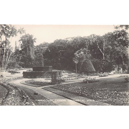 Rare collectable postcards of Sri Lanka (Ceylon). Vintage Postcards of Sri Lanka (Ceylon)