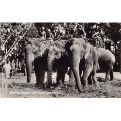 Rare collectable postcards of Sri Lanka (Ceylon). Vintage Postcards of Sri Lanka (Ceylon)