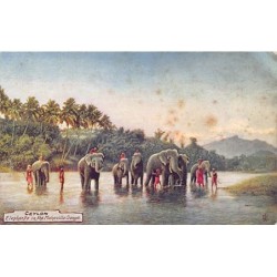 Rare collectable postcards of Sri Lanka (Ceylon). Vintage Postcards of Sri Lanka (Ceylon)