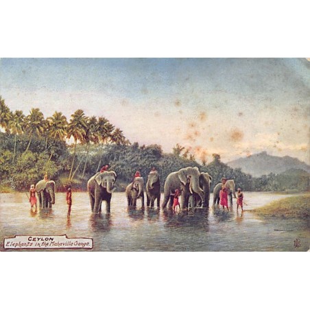 Rare collectable postcards of Sri Lanka (Ceylon). Vintage Postcards of Sri Lanka (Ceylon)