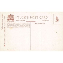 Rare collectable postcards of Sri Lanka (Ceylon). Vintage Postcards of Sri Lanka (Ceylon)