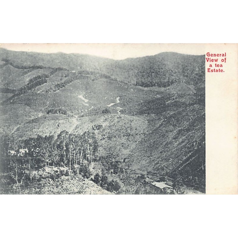 Rare collectable postcards of Sri Lanka (Ceylon). Vintage Postcards of Sri Lanka (Ceylon)