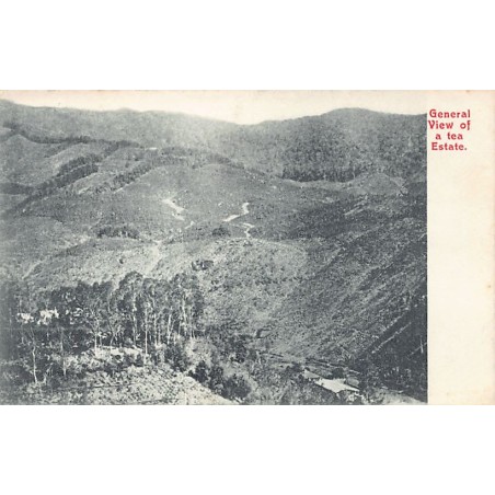Rare collectable postcards of Sri Lanka (Ceylon). Vintage Postcards of Sri Lanka (Ceylon)