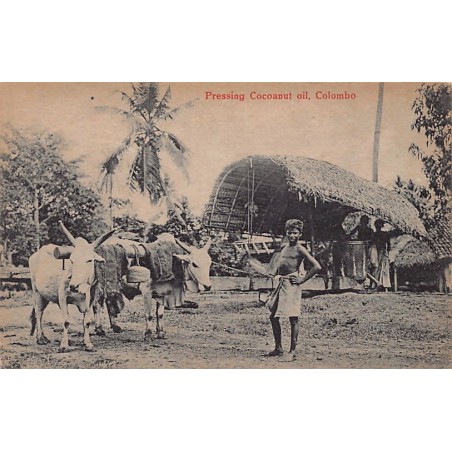 Rare collectable postcards of Sri Lanka (Ceylon). Vintage Postcards of Sri Lanka (Ceylon)