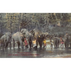 Rare collectable postcards of Sri Lanka (Ceylon). Vintage Postcards of Sri Lanka (Ceylon)