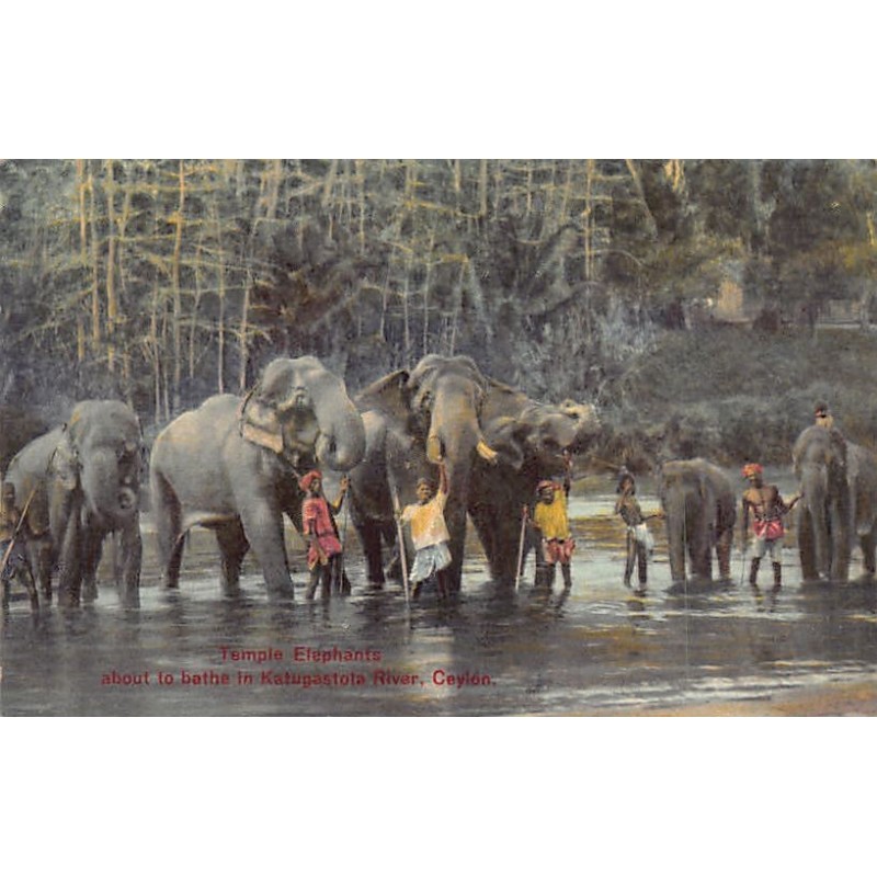 Rare collectable postcards of Sri Lanka (Ceylon). Vintage Postcards of Sri Lanka (Ceylon)