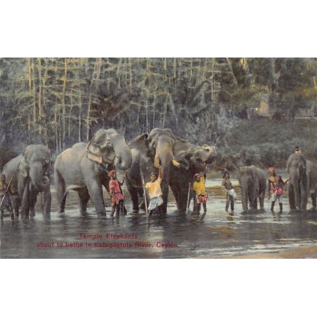 Rare collectable postcards of Sri Lanka (Ceylon). Vintage Postcards of Sri Lanka (Ceylon)
