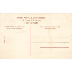 Rare collectable postcards of Sri Lanka (Ceylon). Vintage Postcards of Sri Lanka (Ceylon)