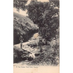 Rare collectable postcards of Sri Lanka (Ceylon). Vintage Postcards of Sri Lanka (Ceylon)