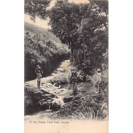 Rare collectable postcards of Sri Lanka (Ceylon). Vintage Postcards of Sri Lanka (Ceylon)