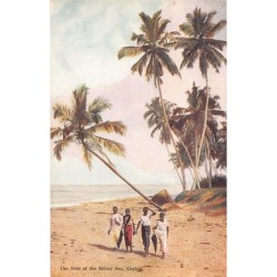 Rare collectable postcards of Sri Lanka (Ceylon). Vintage Postcards of Sri Lanka (Ceylon)
