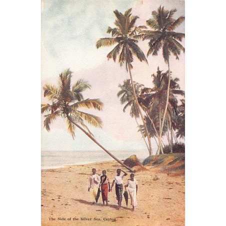 Rare collectable postcards of Sri Lanka (Ceylon). Vintage Postcards of Sri Lanka (Ceylon)