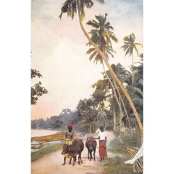 Rare collectable postcards of Sri Lanka (Ceylon). Vintage Postcards of Sri Lanka (Ceylon)