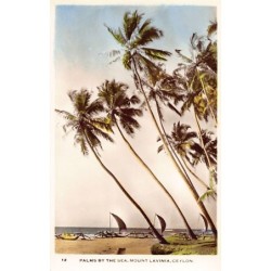 Rare collectable postcards of Sri Lanka (Ceylon). Vintage Postcards of Sri Lanka (Ceylon)