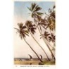 Rare collectable postcards of Sri Lanka (Ceylon). Vintage Postcards of Sri Lanka (Ceylon)