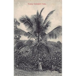 Rare collectable postcards of Sri Lanka (Ceylon). Vintage Postcards of Sri Lanka (Ceylon)