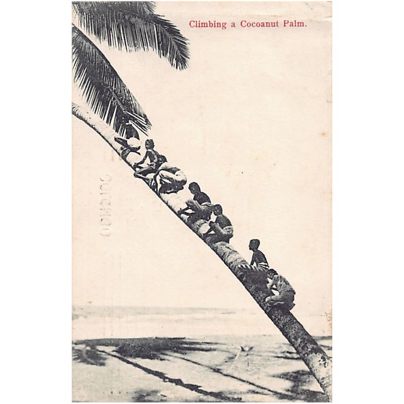 Rare collectable postcards of Sri Lanka (Ceylon). Vintage Postcards of Sri Lanka (Ceylon)