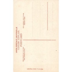 Rare collectable postcards of Sri Lanka (Ceylon). Vintage Postcards of Sri Lanka (Ceylon)