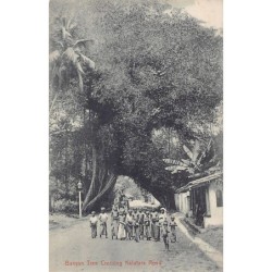 Rare collectable postcards of Sri Lanka (Ceylon). Vintage Postcards of Sri Lanka (Ceylon)