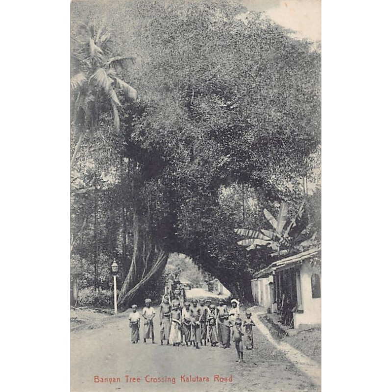 Rare collectable postcards of Sri Lanka (Ceylon). Vintage Postcards of Sri Lanka (Ceylon)