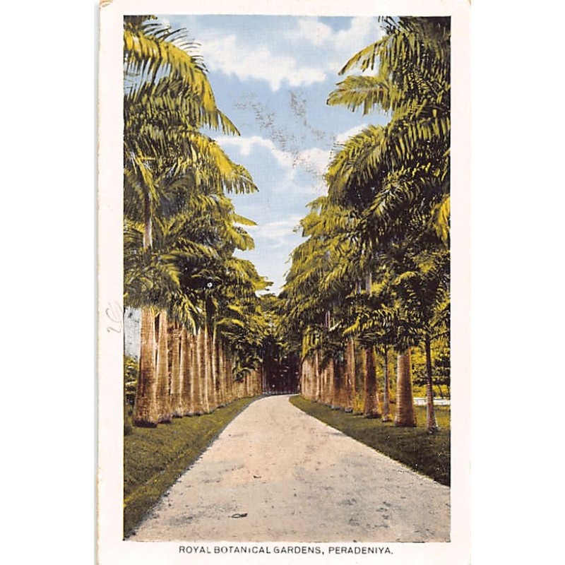 Rare collectable postcards of Sri Lanka (Ceylon). Vintage Postcards of Sri Lanka (Ceylon)