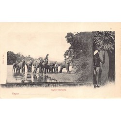 Rare collectable postcards of Sri Lanka (Ceylon). Vintage Postcards of Sri Lanka (Ceylon)
