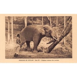 Rare collectable postcards of Sri Lanka (Ceylon). Vintage Postcards of Sri Lanka (Ceylon)