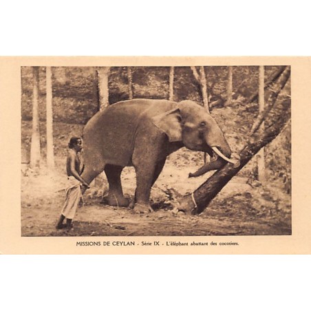 Rare collectable postcards of Sri Lanka (Ceylon). Vintage Postcards of Sri Lanka (Ceylon)