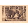 Rare collectable postcards of Sri Lanka (Ceylon). Vintage Postcards of Sri Lanka (Ceylon)