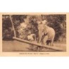 Rare collectable postcards of Sri Lanka (Ceylon). Vintage Postcards of Sri Lanka (Ceylon)