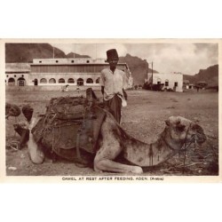 Rare collectable postcards of Yemen. Vintage Postcards of Yemen