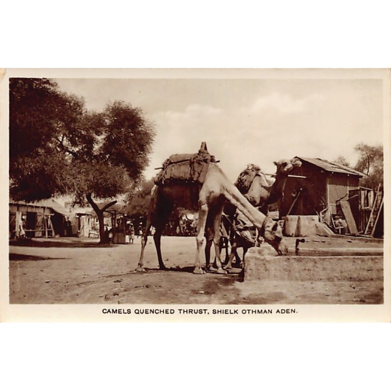 Rare collectable postcards of Yemen. Vintage Postcards of Yemen