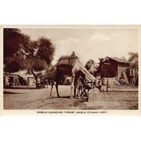 Rare collectable postcards of Yemen. Vintage Postcards of Yemen