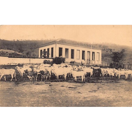 Rare collectable postcards of Brazil. Vintage Postcards of Brazil